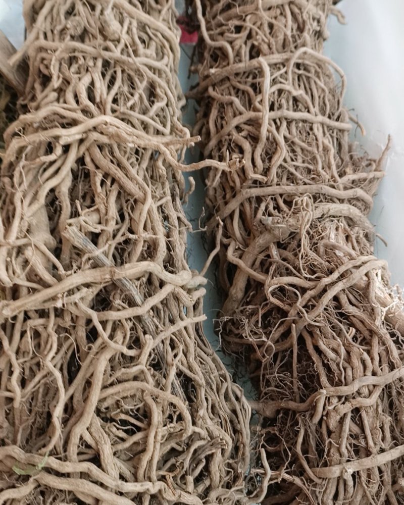 中药材通城虎根定心草根五虎通城根血蒌根中草药