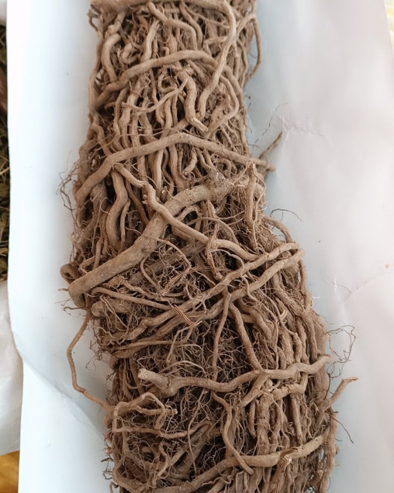 中药材通城虎根定心草根五虎通城根血蒌根中草药