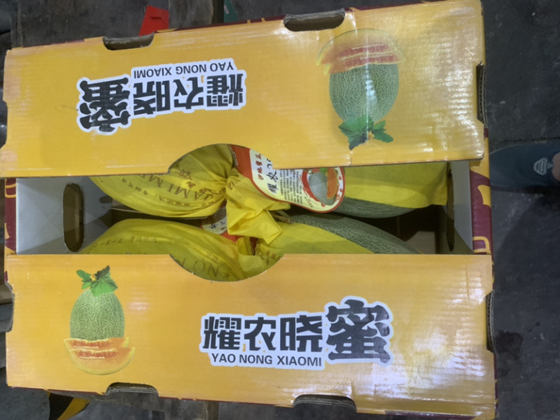 哈密瓜，新疆哈密瓜，晓蜜瓜，质优价廉，货源稳定，