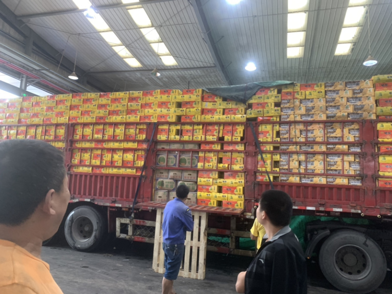 哈密瓜，新疆哈密瓜，晓蜜瓜，质优价廉，货源稳定，