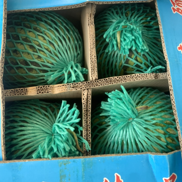 麒麟瓜，产地云南，上海都有，质量货源都很稳定