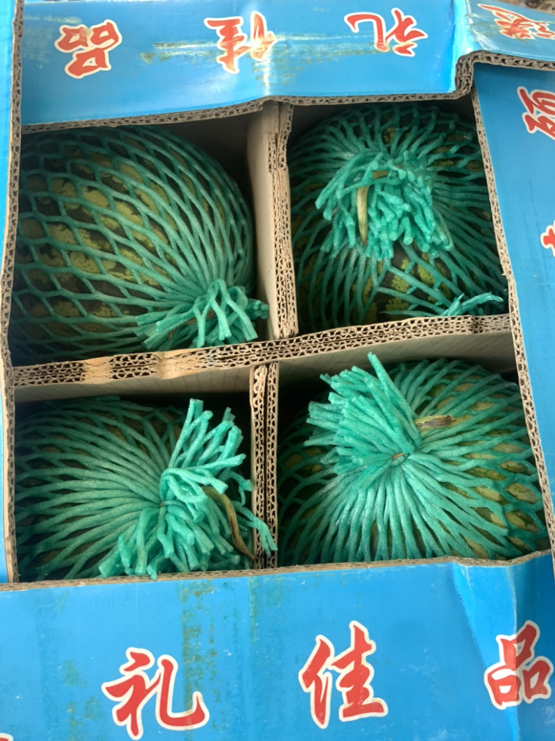 麒麟瓜，产地云南，上海都有，质量货源都很稳定