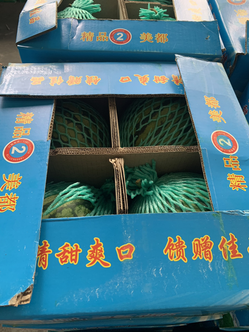麒麟瓜，产地云南，上海都有，质量货源都很稳定