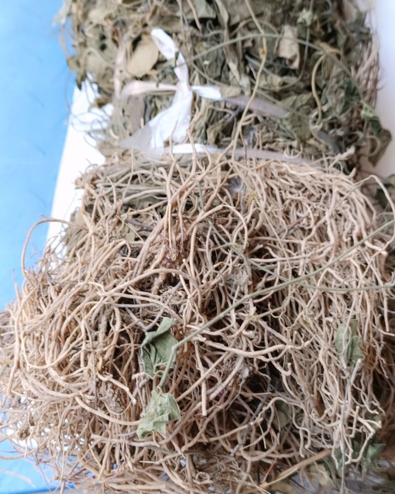 三十六荡中药材新货三十六荡娃儿藤双飞蝴蝶白龙须