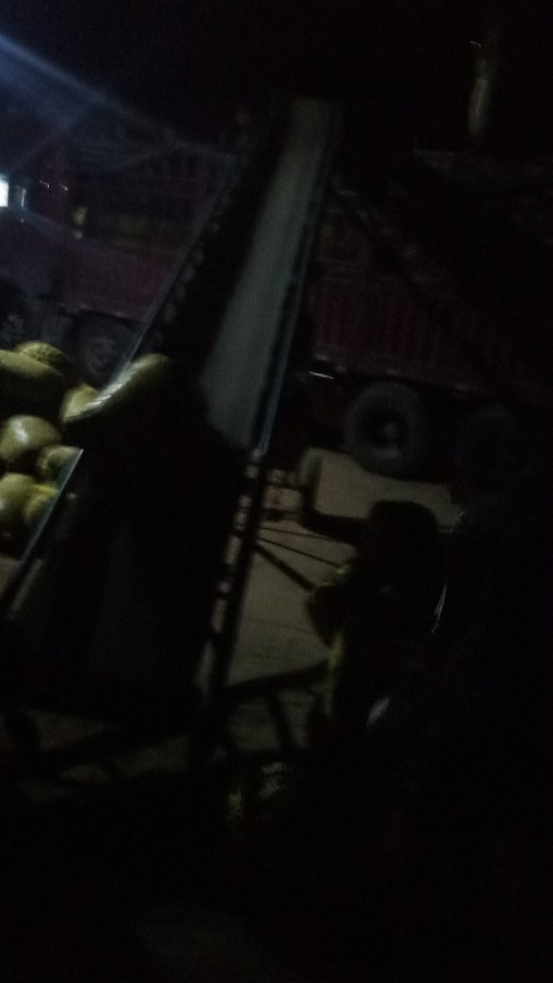 小白沙鲜花生八月大量上市中，市场货，加工厂货正在接单