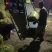 小白沙鲜花生八月大量上市中，市场货，加工厂货正在接单