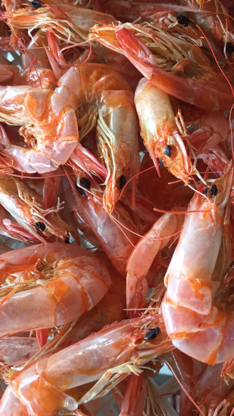 白水湖生态养殖，南美白对虾自家制作即食烤虾