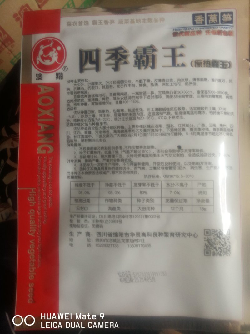 莴笋金品大尖叶皮嫩白，肉谈绿味清香脆嫩既耐热又耐寒四季可