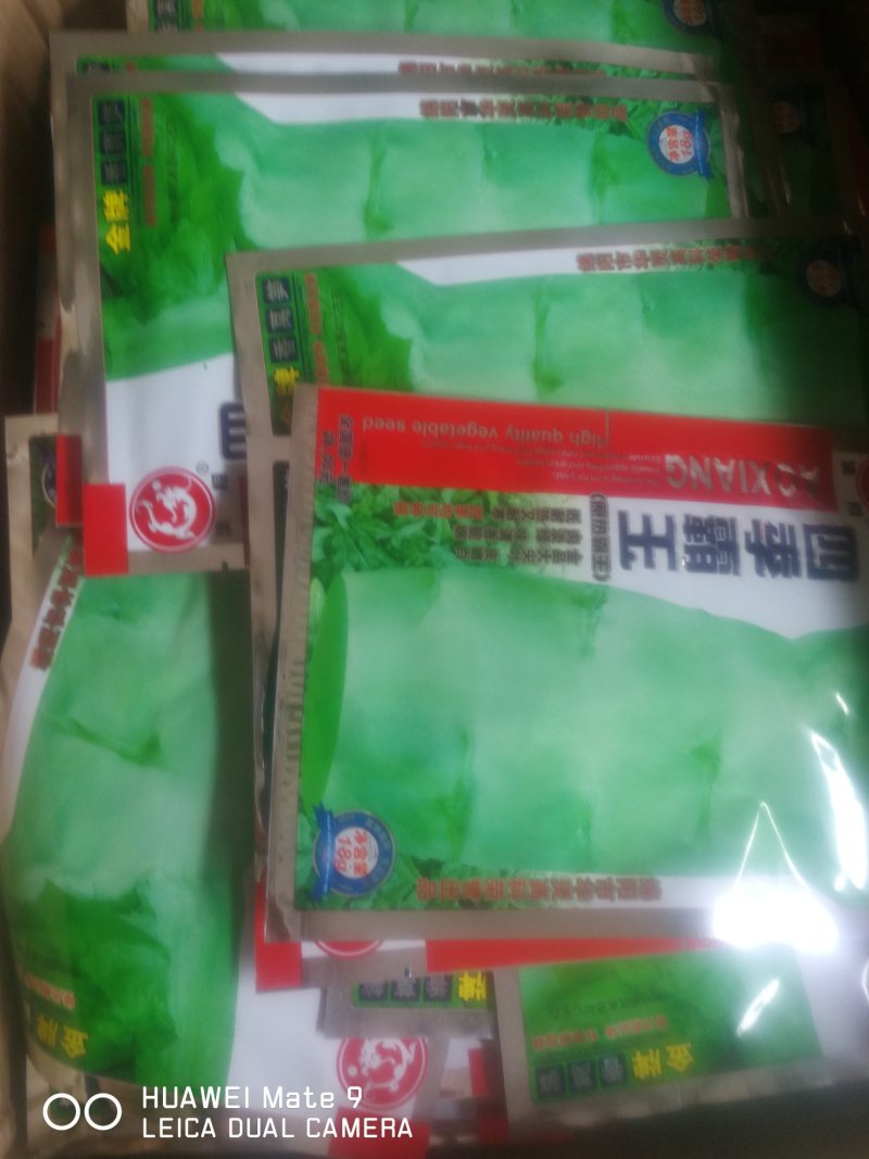 莴笋金品大尖叶皮嫩白，肉谈绿味清香脆嫩既耐热又耐寒四季可