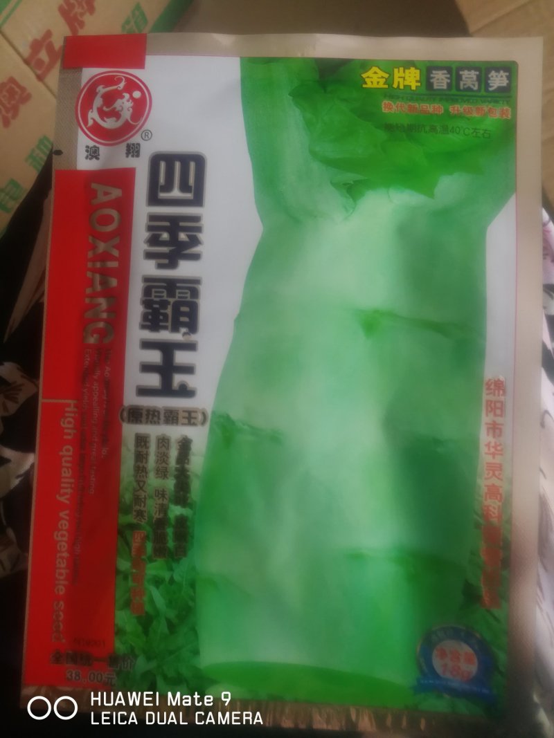 莴笋金品大尖叶皮嫩白，肉谈绿味清香脆嫩既耐热又耐寒四季可