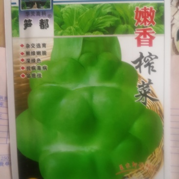 榨菜种，杂交选育鲜绿嫩脆深绿色抗病毒病，品质佳。