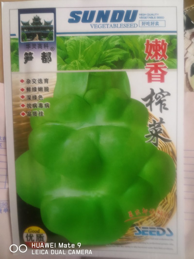 榨菜种，杂交选育鲜绿嫩脆深绿色抗病毒病，品质佳。