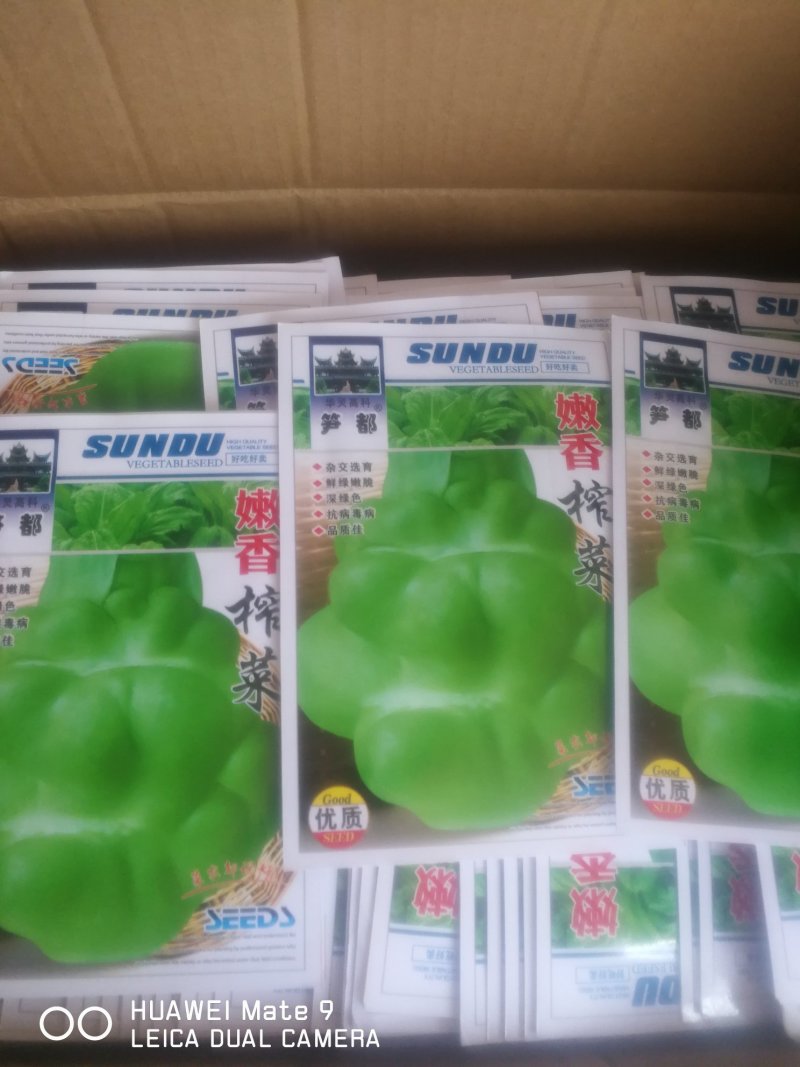 榨菜种，杂交选育鲜绿嫩脆深绿色抗病毒病，品质佳。