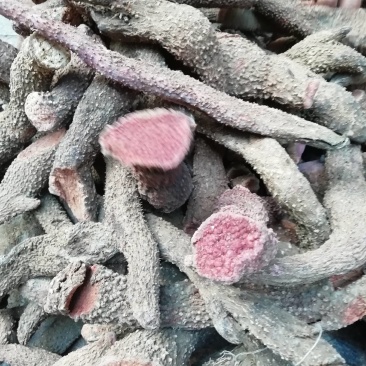七爪金龙血参茹七叶薯血参正品干品
