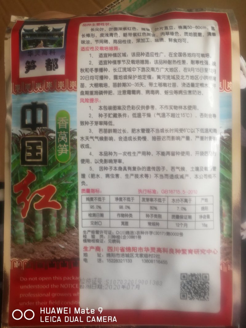 香莴笋，叶面深紫红色茎长棒形肉清绿色。莴笋。