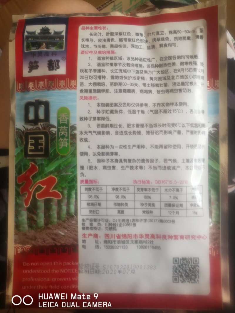 香莴笋，叶面深紫红色茎长棒形肉清绿色。莴笋。