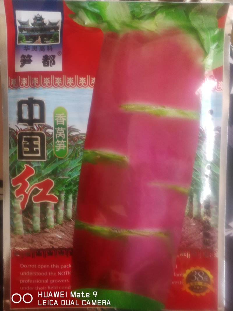 香莴笋，叶面深紫红色茎长棒形肉清绿色。莴笋。