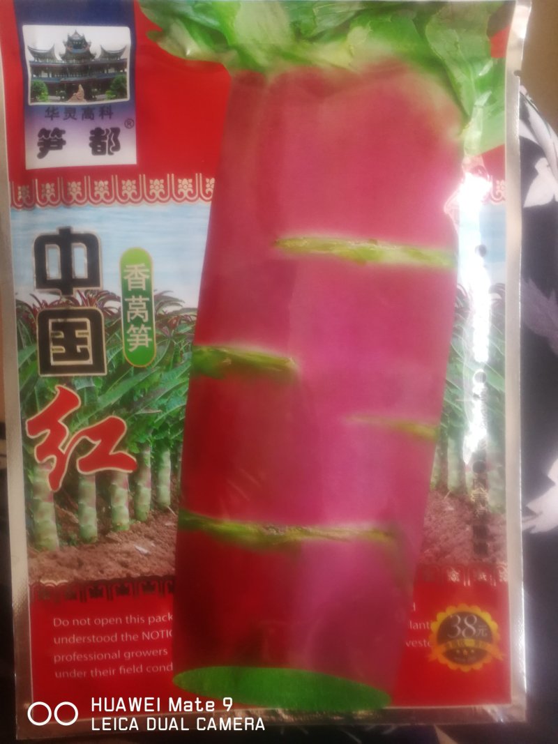 香莴笋，叶面深紫红色茎长棒形肉清绿色。莴笋。