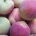 遇见你就是我的幸运，幸运李海量上市了。欢迎合作愉快