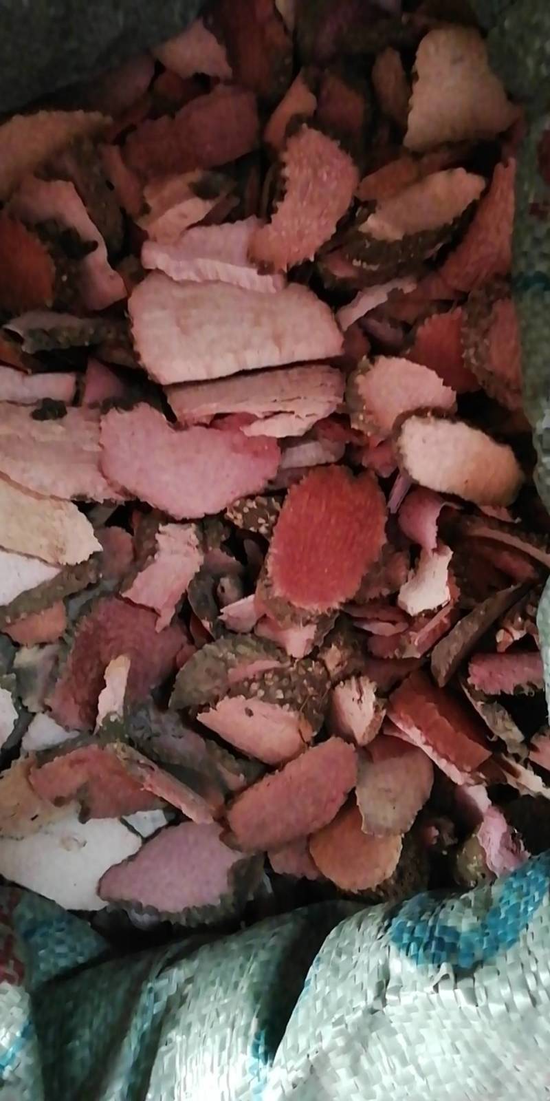 七爪金龙血参茹七叶薯血参正品干品