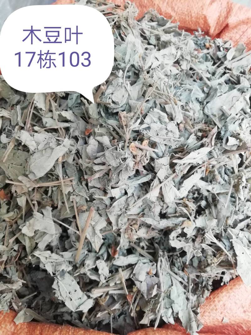 广西新货木豆叶，颜色青绿