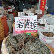 广西岩黄莲，短岩黄莲扎把，多根多花，今年新货，直销