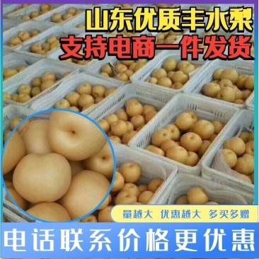 【热卖中】丰水梨，冠县丰水梨秋月梨大量上市支持一件代发包邮