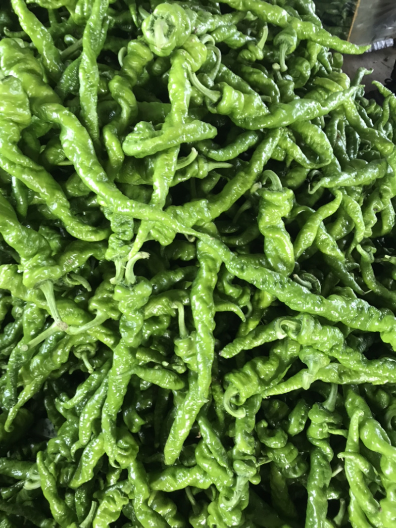 螺丝椒