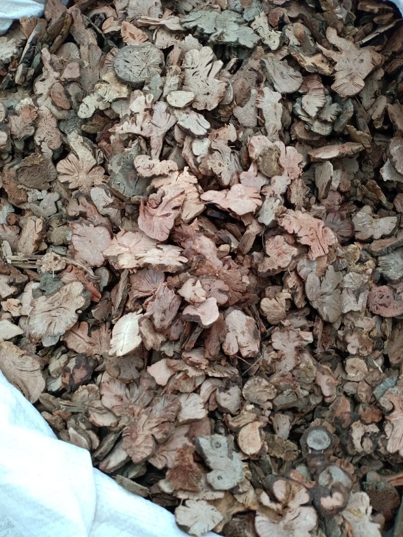 金荞麦，正品优质金荞麦片，干净无杂质量保证欢迎咨询！
