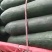 广西上林精品吊冬瓜上市中…………………………