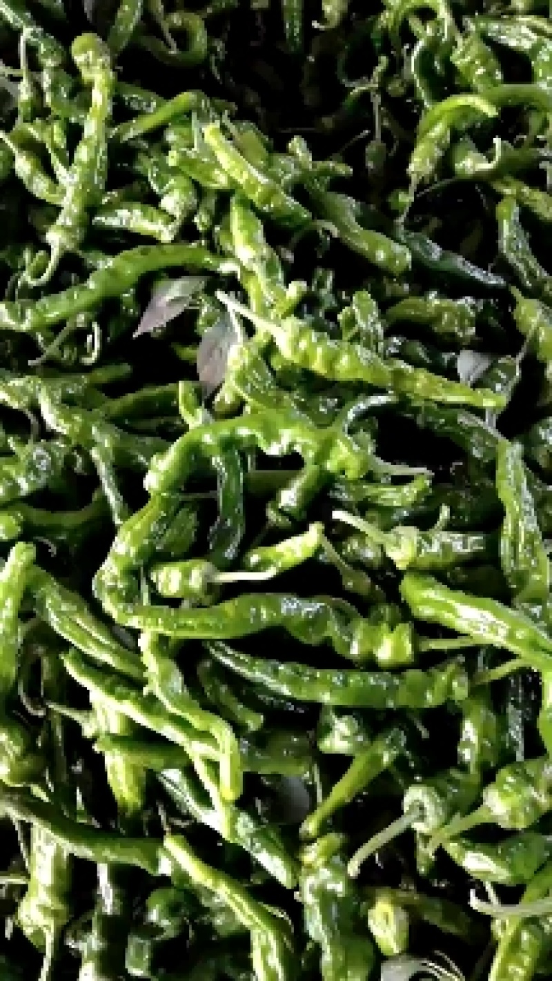 小皱皮辣椒，特辣，鲜辣椒，一件代发，欢迎各位老板前来联系，