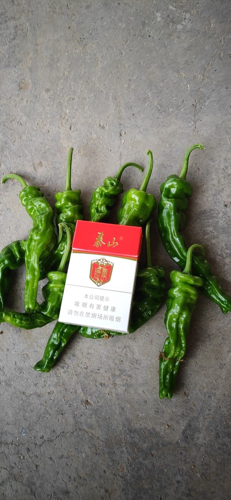 小皱皮辣椒，特辣，鲜辣椒，一件代发，欢迎各位老板前来联系，