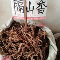 中药材野生隔山香无硫，金鸡爪鸡爪参香白芷隔山香
