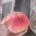 精品映霜红，85起步上不封顶大量供货中，