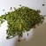 2020新荷叶茶颗粒量大从优