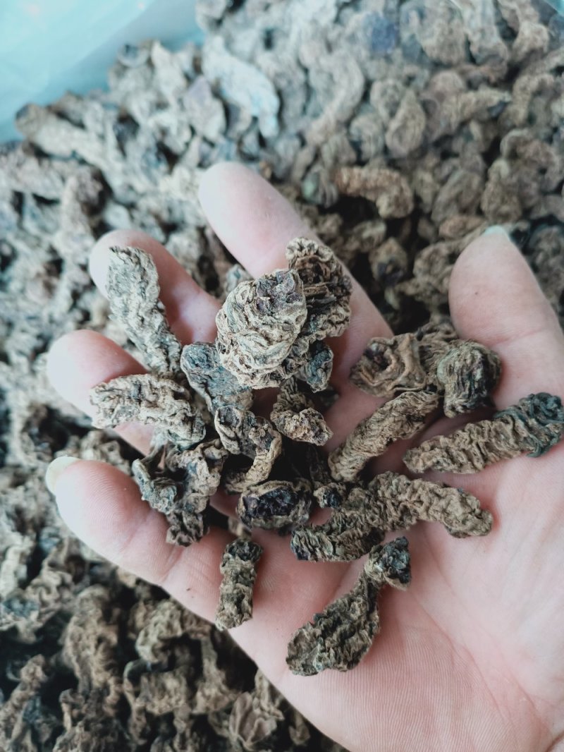中药材蚂蟥七石螃蟹石蜈蚣红蚂蝗七干货500克一件