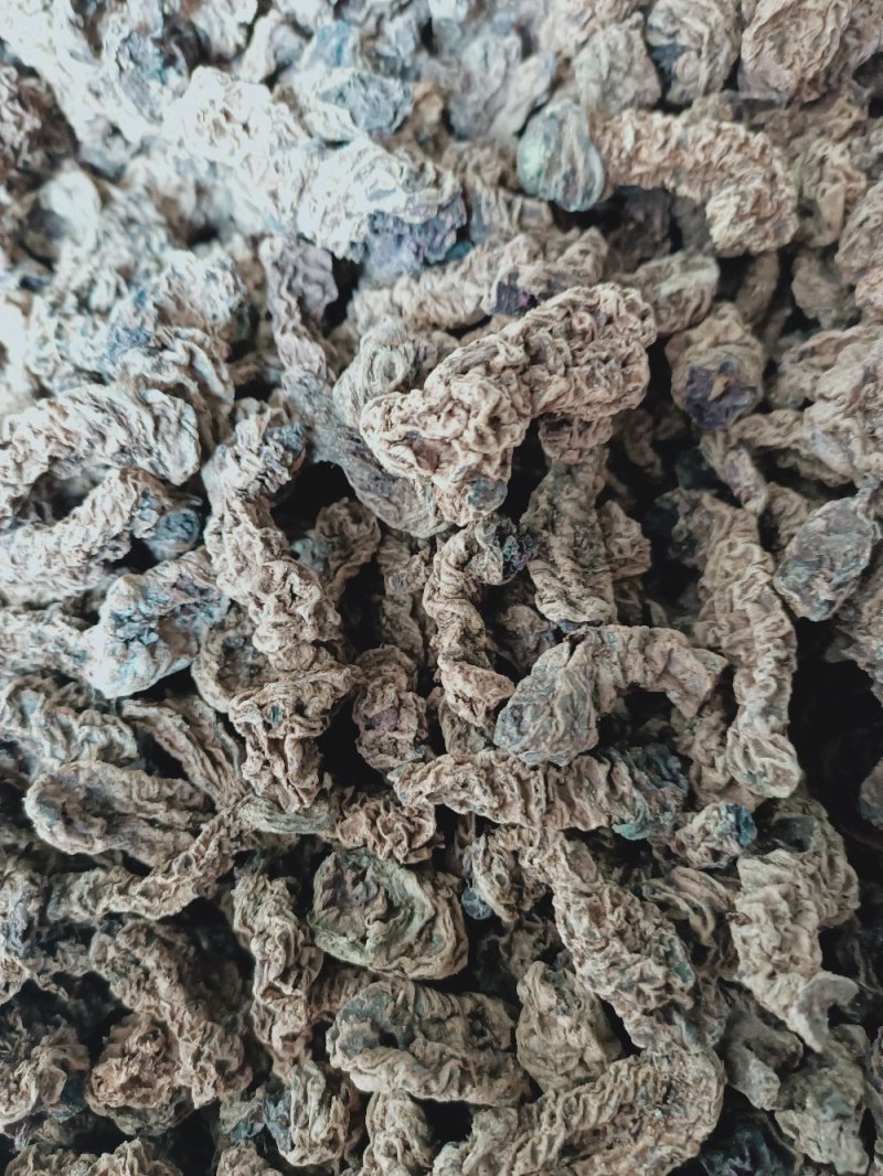 中药材蚂蟥七石螃蟹石蜈蚣红蚂蝗七干货500克一件