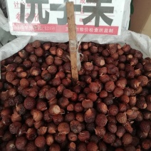 洗手果，木患果广西野生无患子圆皂角洗手果木患子