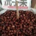 洗手果，木患果广西野生无患子圆皂角洗手果木患子