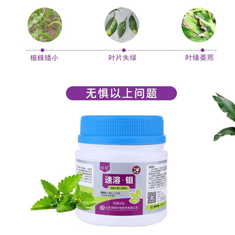 绿陇EDTA螯合钼肥农用叶面肥固氮水溶肥微量元素小分子速