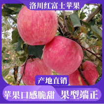 【洛川红富士】一手货源诚信代办量大质优
