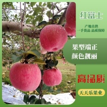 【商超品质】洛川红富士〔品相好〕甜度高产地直供