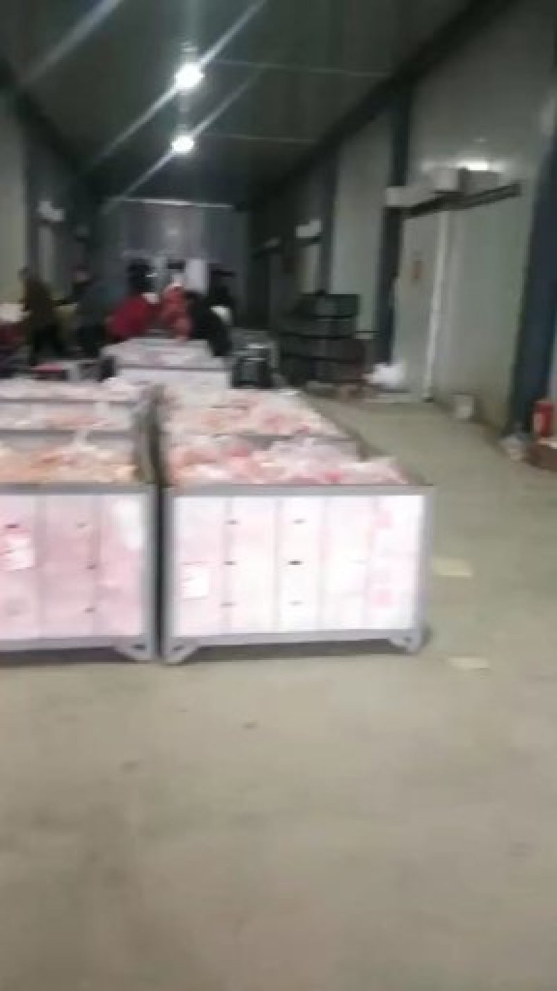 陕西省咸阳市长武县高原《精品红富士苹果》装货中