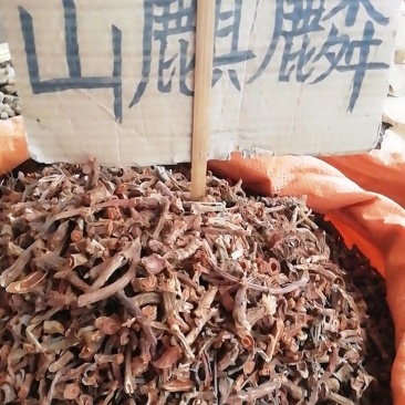 野生中药材山麒麟，玉麒麟红药子干品铁打药泡酒材料新