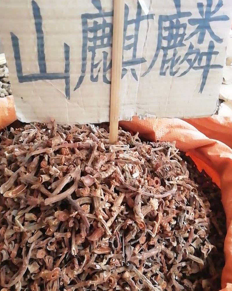 野生中药材山麒麟，玉麒麟红药子干品铁打药泡酒材料新