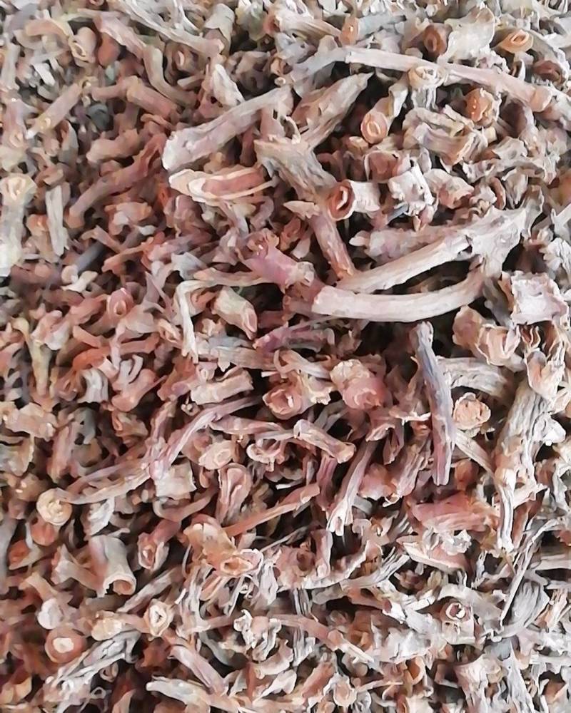 野生中药材山麒麟，玉麒麟红药子干品铁打药泡酒材料新