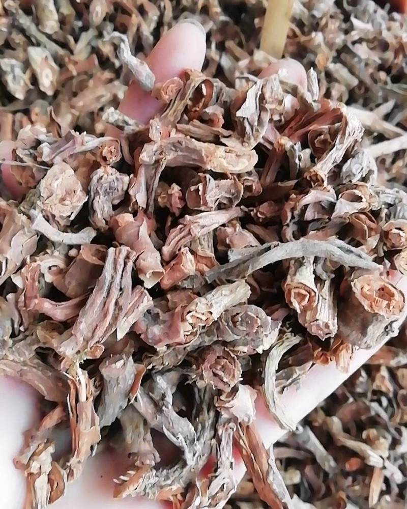 野生中药材山麒麟，玉麒麟红药子干品铁打药泡酒材料新