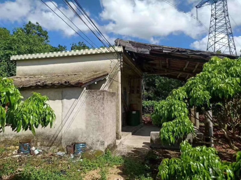 土地
