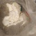 广西干水新鲜豆渣热销广西，干水新鲜价廉质优