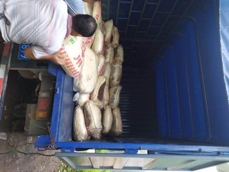 广西干水新鲜豆渣热销广西，干水新鲜价廉质优